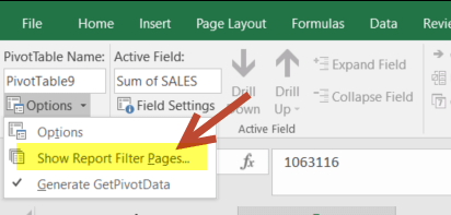 Show Report Filter Pages